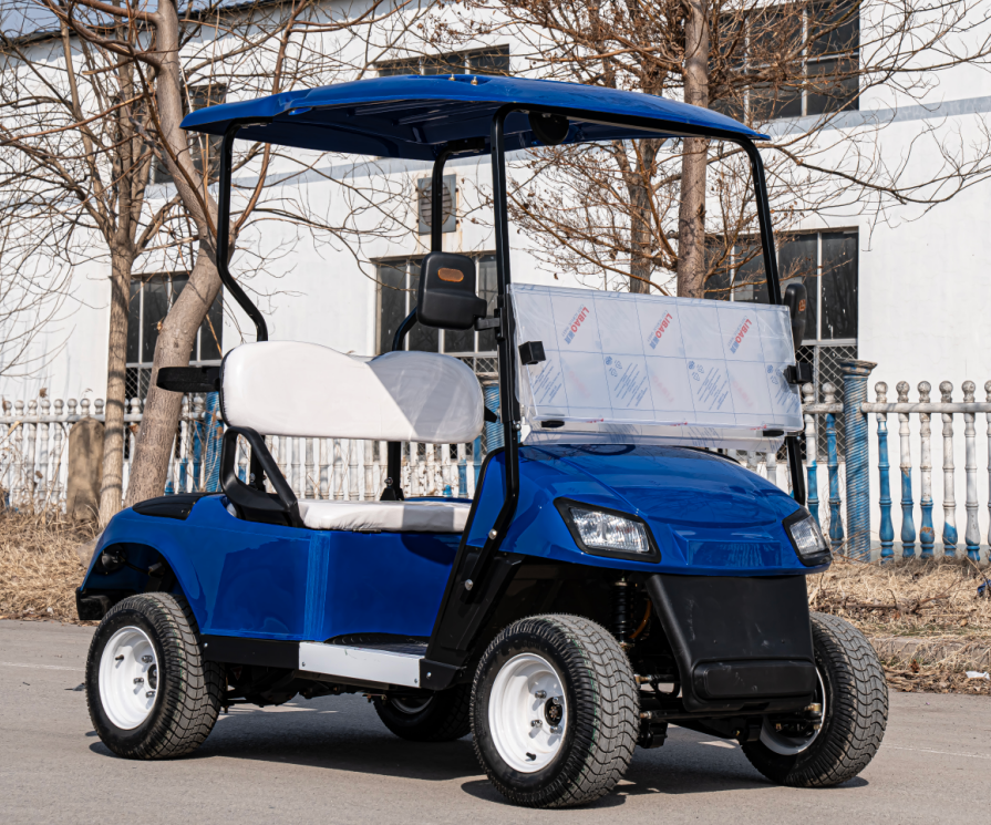 Hot Sale Electric Off Road Gol – обзор и цена Golf Equipment Sales