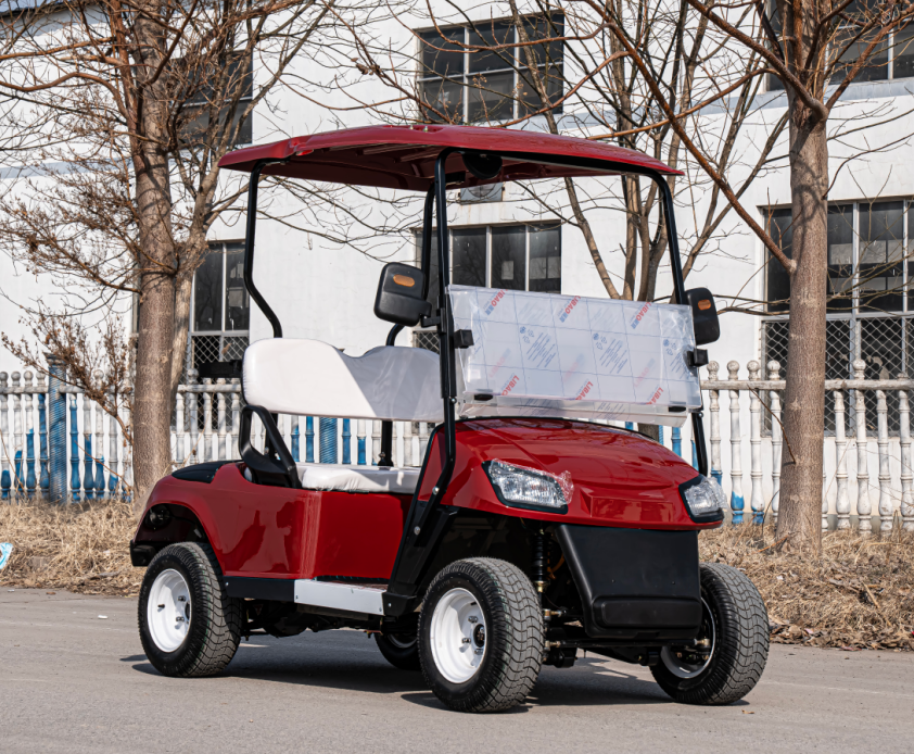 Hot Sale Electric Off Road Gol – обзор и цена Golf Equipment Sales